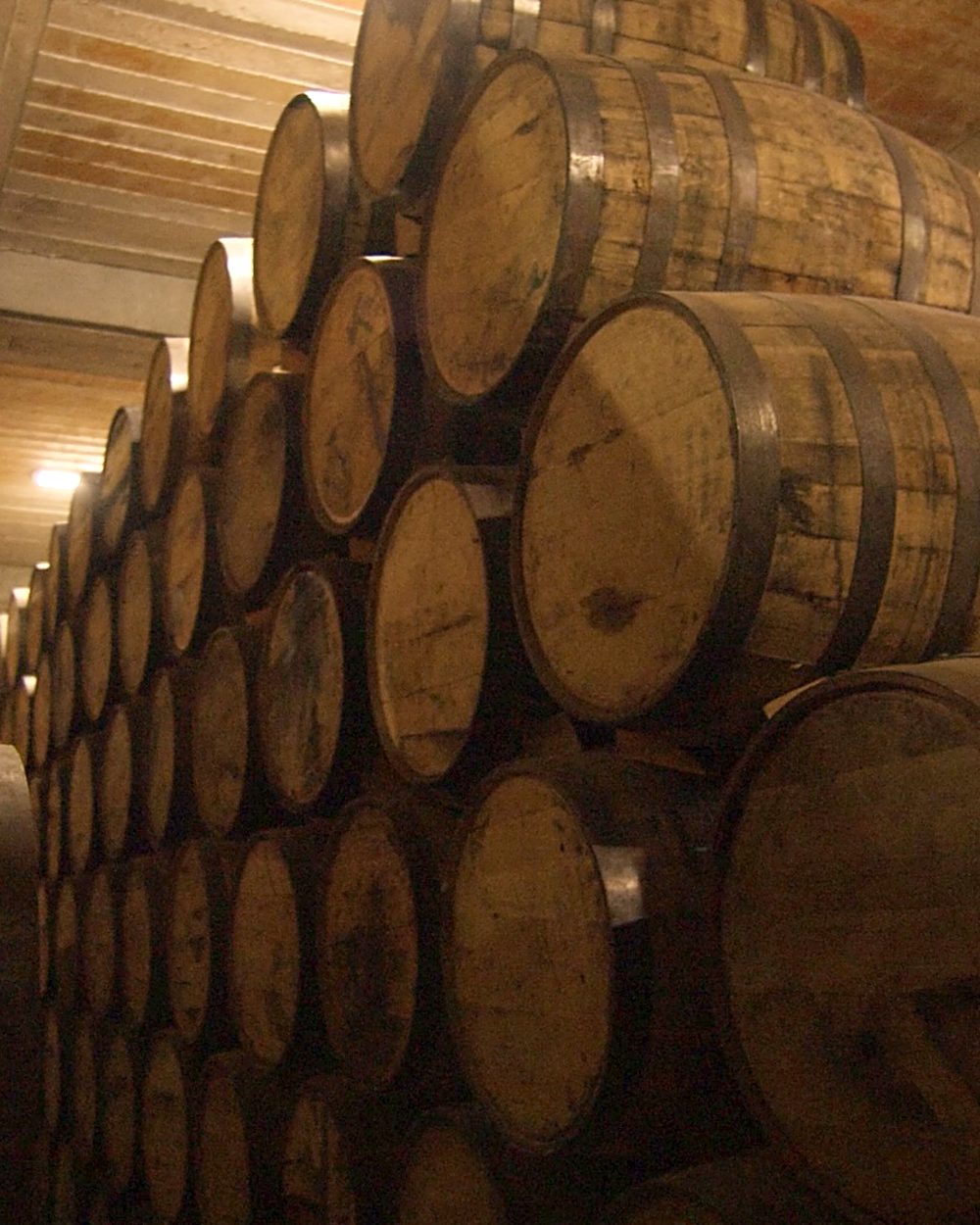Oak barrels stacked in the ageing cellar